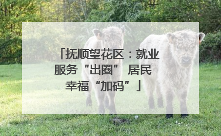 抚顺望花区：就业服务“出圈” 居民幸福“加码”