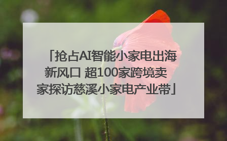 抢占AI智能小家电出海新风口 超100家跨境卖家探访慈溪小家电产业带