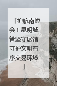 护航南博会！昆明城管坚守展馆守护文明有序交易环境
