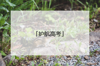护航高考