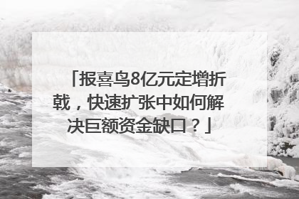 报喜鸟8亿元定增折戟，快速扩张中如何解决巨额资金缺口？