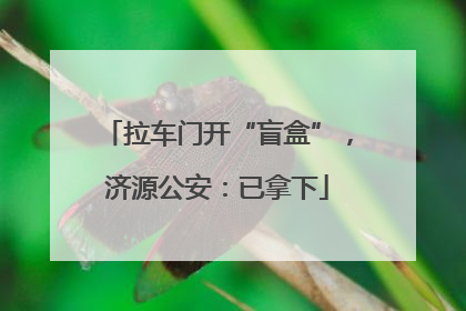 拉车门开“盲盒”，济源公安：已拿下
