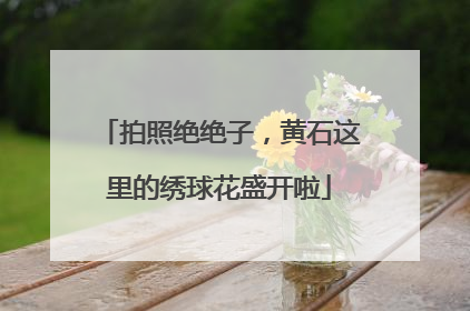 拍照绝绝子，黄石这里的绣球花盛开啦