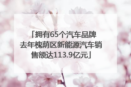 拥有65个汽车品牌 去年槐荫区新能源汽车销售额达113.9亿元