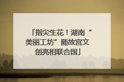 指尖生花！湖南“美丽工坊”随故宫文创亮相联合国