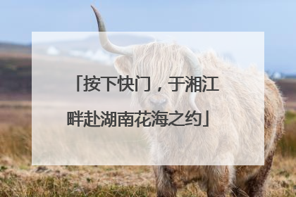 按下快门，于湘江畔赴湖南花海之约