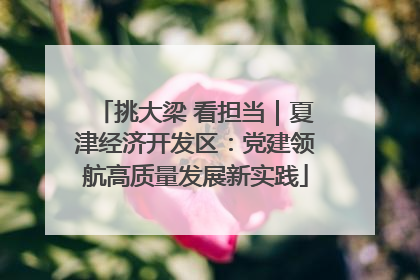 挑大梁 看担当｜夏津经济开发区：党建领航高质量发展新实践