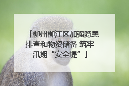 柳州柳江区加强隐患排查和物资储备 筑牢汛期“安全堤”