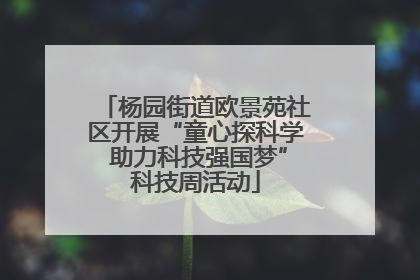 杨园街道欧景苑社区开展“童心探科学 助力科技强国梦”科技周活动