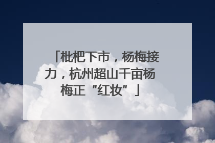 枇杷下市，杨梅接力，杭州超山千亩杨梅正“红妆”