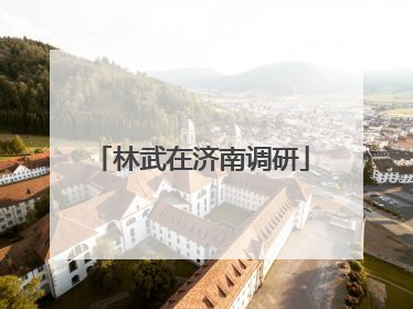 林武在济南调研