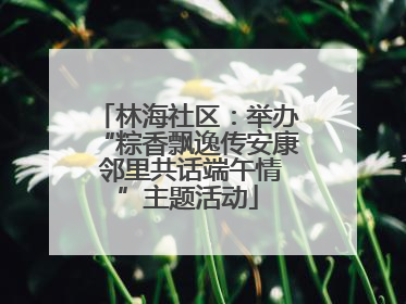 林海社区：举办“粽香飘逸传安康 邻里共话端午情”主题活动