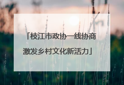 枝江市政协一线协商激发乡村文化新活力