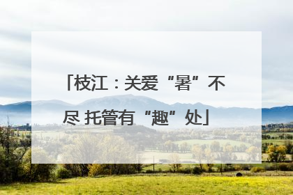 枝江：关爱“暑”不尽 托管有“趣”处