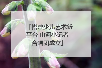 搭建少儿艺术新平台 山河小记者合唱团成立