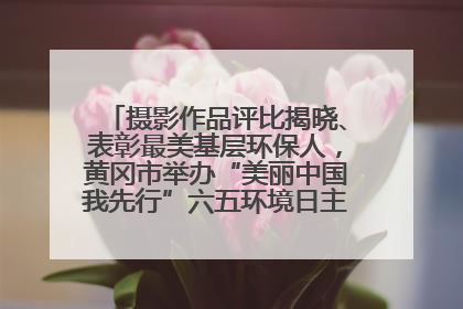 摄影作品评比揭晓、表彰最美基层环保人，黄冈市举办“美丽中国我先行”六五环境日主题宣传活动