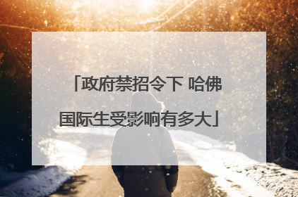 政府禁招令下 哈佛国际生受影响有多大