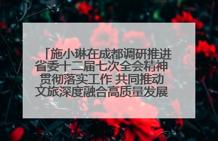 施小琳在成都调研推进省委十二届七次全会精神贯彻落实工作 共同推动文旅深度融合高质量发展 加快打造支柱产业民生产业幸福产业