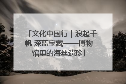 文化中国行｜浪起千帆 深蓝宝藏——博物馆里的海丝遗珍