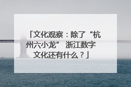 文化观察：除了“杭州六小龙” 浙江数字文化还有什么？