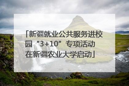 新疆就业公共服务进校园“3+10”专项活动在新疆农业大学启动