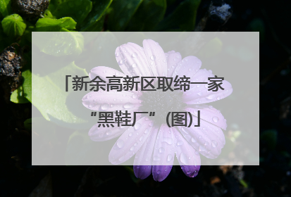 新余高新区取缔一家“黑鞋厂”(图)
