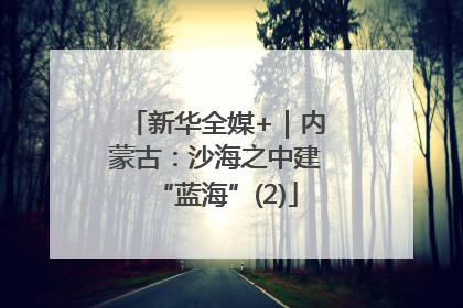 新华全媒+｜内蒙古：沙海之中建“蓝海”(2)