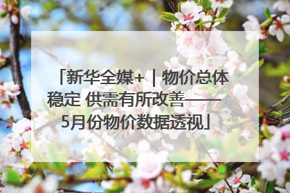 新华全媒+｜物价总体稳定 供需有所改善——5月份物价数据透视