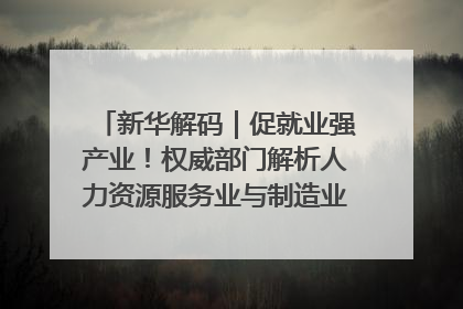 新华解码｜促就业强产业！权威部门解析人力资源服务业与制造业融合发展试点