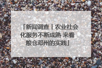 新闻调查丨农业社会化服务不断成熟 来看粮仓邓州的实践