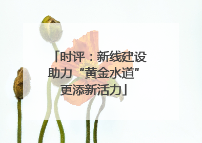 时评：新线建设助力“黄金水道”更添新活力
