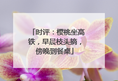 时评：樱桃坐高铁，早晨枝头摘，傍晚到餐桌