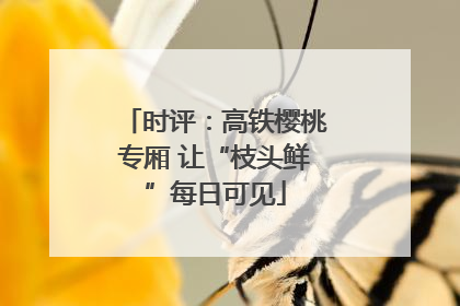 时评：高铁樱桃专厢 让“枝头鲜”每日可见