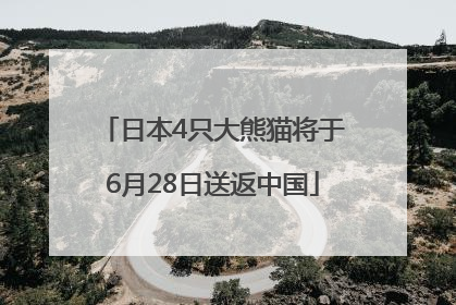 日本4只大熊猫将于6月28日送返中国