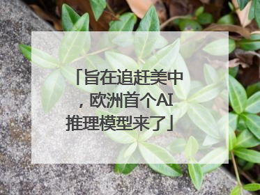 旨在追赶美中，欧洲首个AI推理模型来了