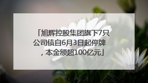 旭辉控股集团旗下7只公司债自6月3日起停牌，本金额超100亿元
