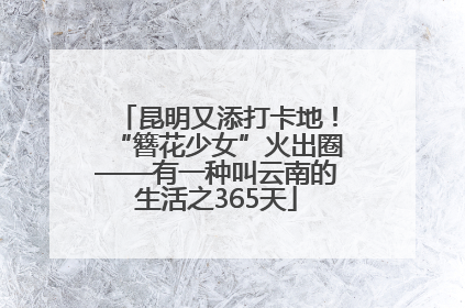 昆明又添打卡地！“簪花少女”火出圈——有一种叫云南的生活之365天
