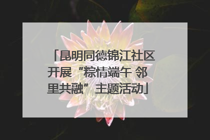 昆明同德锦江社区开展“粽情端午 邻里共融”主题活动