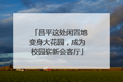 昌平这处闲置地变身大花园，成为校园崭新会客厅