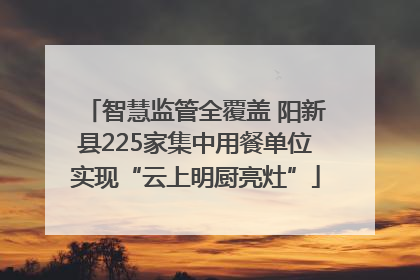 智慧监管全覆盖 阳新县225家集中用餐单位实现“云上明厨亮灶”