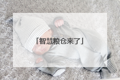 智慧粮仓来了