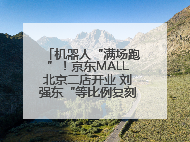 机器人“满场跑”！京东MALL北京二店开业 刘强东“等比例复刻”能否带火线下“618”？