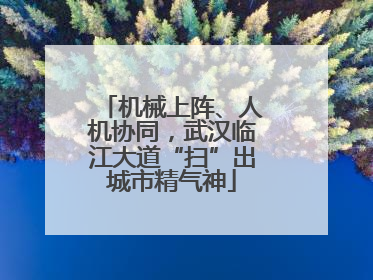 机械上阵、人机协同，武汉临江大道“扫”出城市精气神
