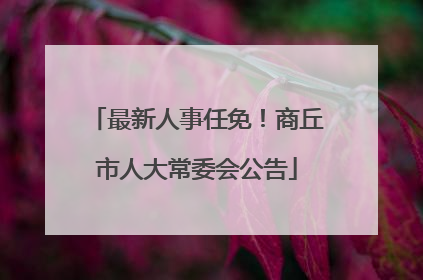 最新人事任免！商丘市人大常委会公告