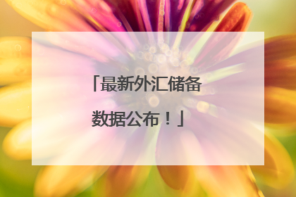 最新外汇储备数据公布！