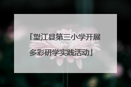 望江县第三小学开展多彩研学实践活动