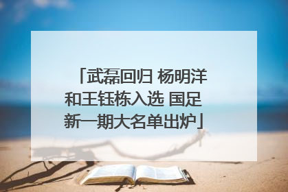 武磊回归 杨明洋和王钰栋入选 国足新一期大名单出炉