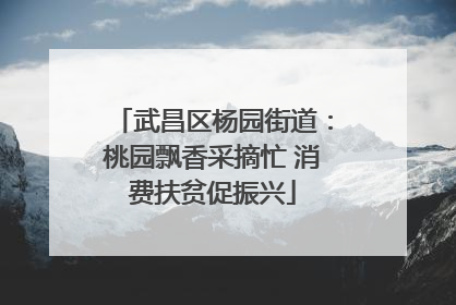 武昌区杨园街道：桃园飘香采摘忙 消费扶贫促振兴