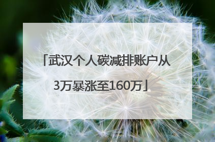 武汉个人碳减排账户从3万暴涨至160万