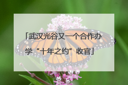 武汉光谷又一个合作办学“十年之约”收官